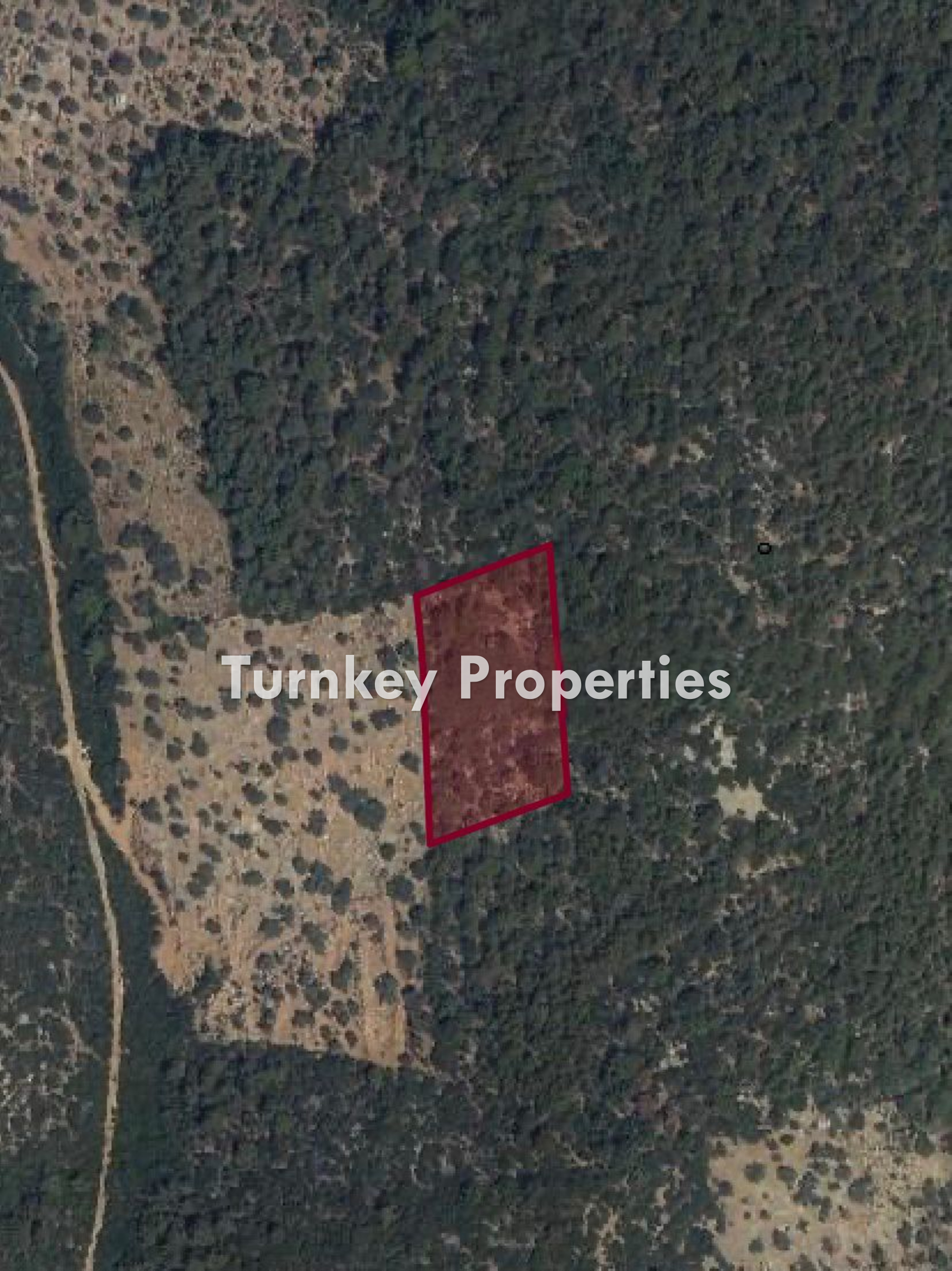 Bodrum Kızılağaç'ta Satılık Yatırıma Uygun 5754 m² Zeytinlik